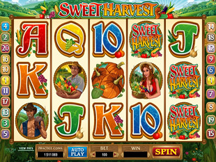 Sweet Harvest slot game online review