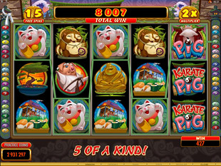 free Karate Pig slot free spins