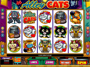 Alley Cats slot game online review