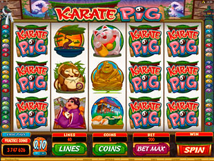 Karate Pig slot game online review