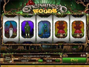 Enchanted Woods slot game online review