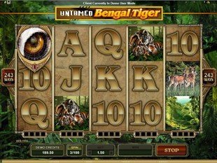 Untamed Bengal Tiger slot game online review