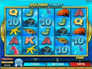 Dolphin Coast slot game online review