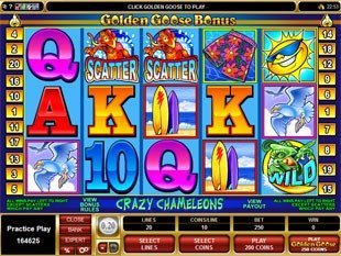 Golden Goose Crazy Chameleons slot game online review