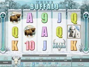  White Buffalo slot game online review