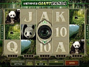  Untamed Giant Panda slot game online review