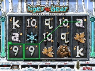  Tiger vs. Bear slot game online review