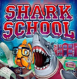 shark-school slot