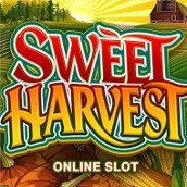SweetHarvest-172-172
