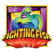 fighting-fish-1