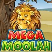 mega-moolah-slot-172-172